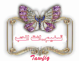 tawfiq
