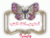 tawfiq